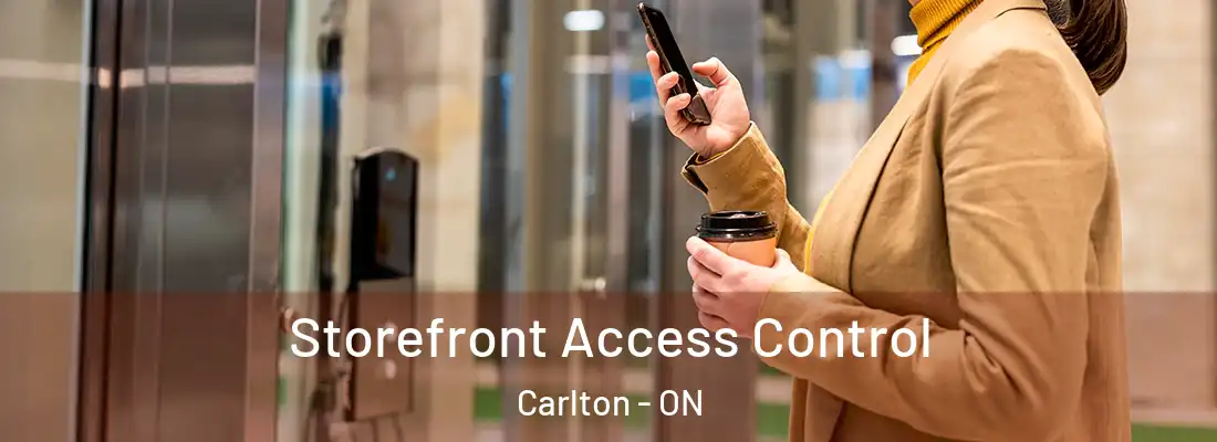  Storefront Access Control Carlton - ON