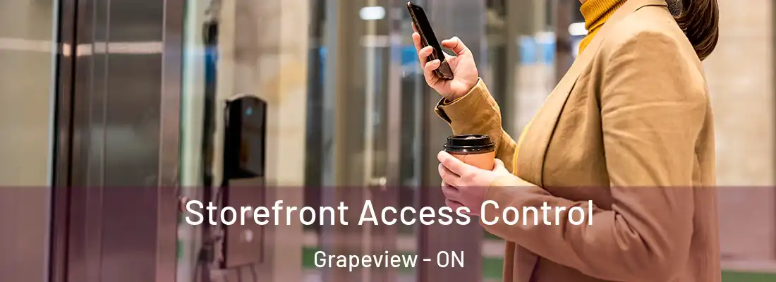  Storefront Access Control Grapeview - ON