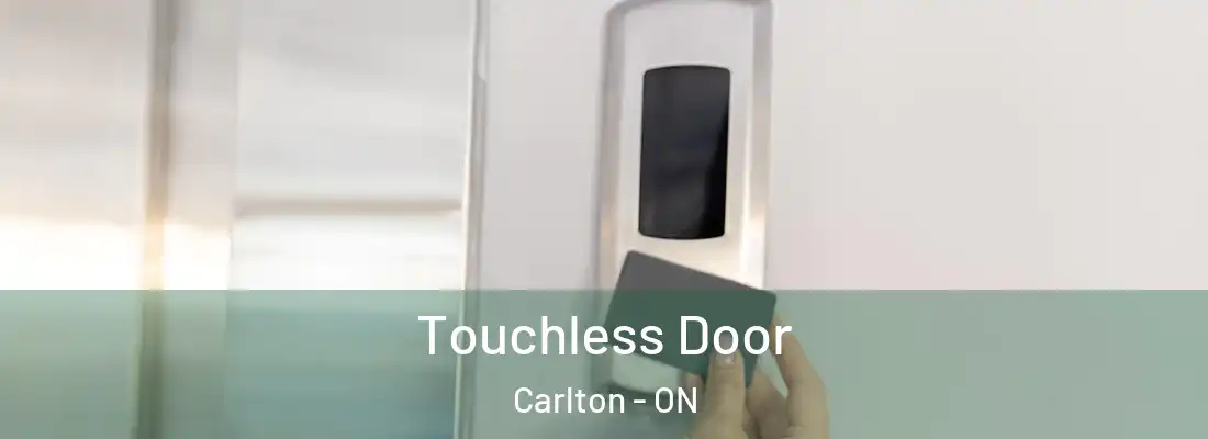  Touchless Door Carlton - ON