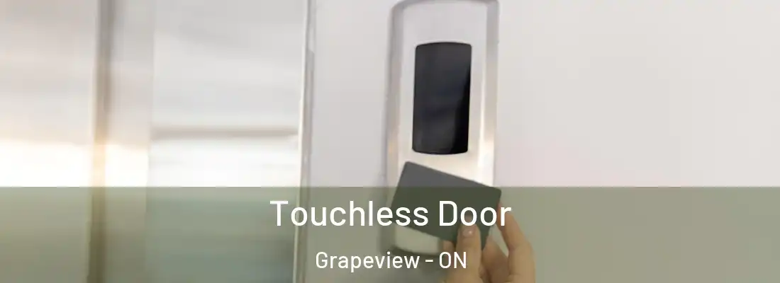  Touchless Door Grapeview - ON