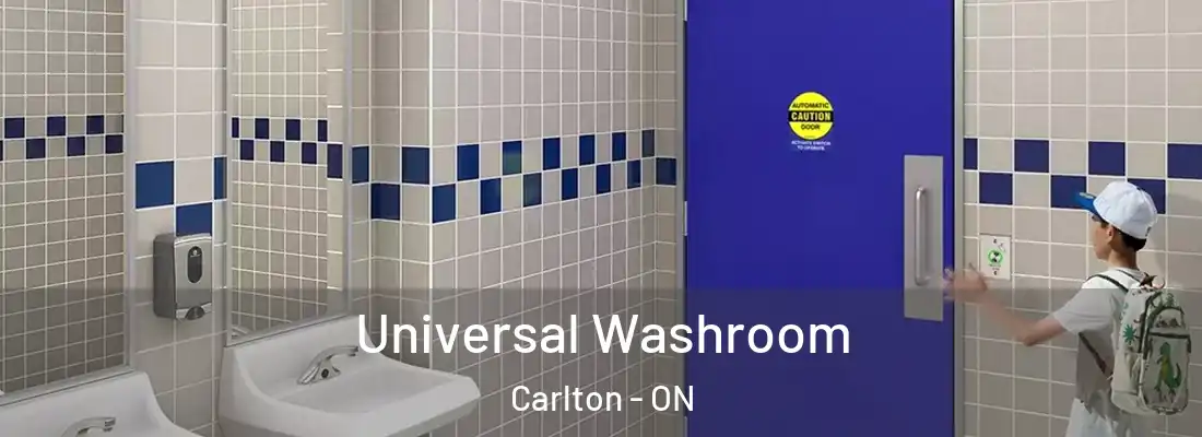  Universal Washroom Carlton - ON