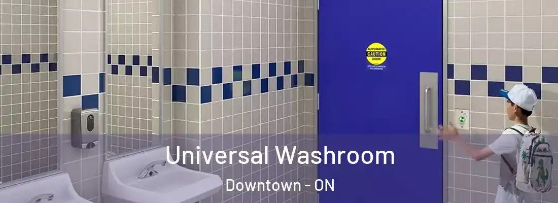  Universal Washroom Downtown - ON