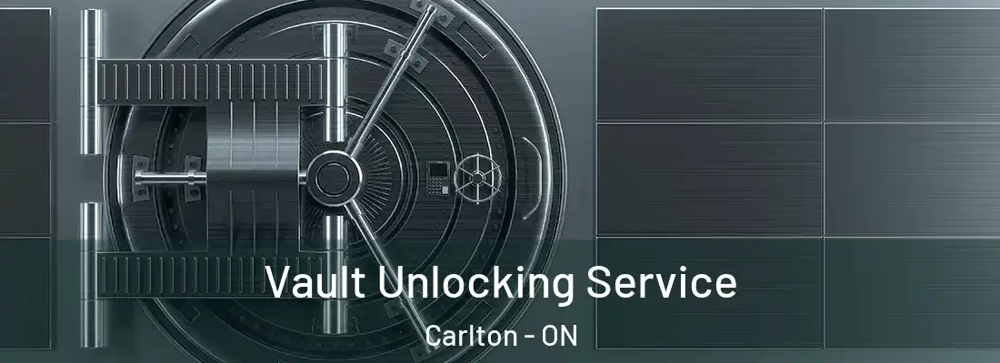  Vault Unlocking Service Carlton - ON