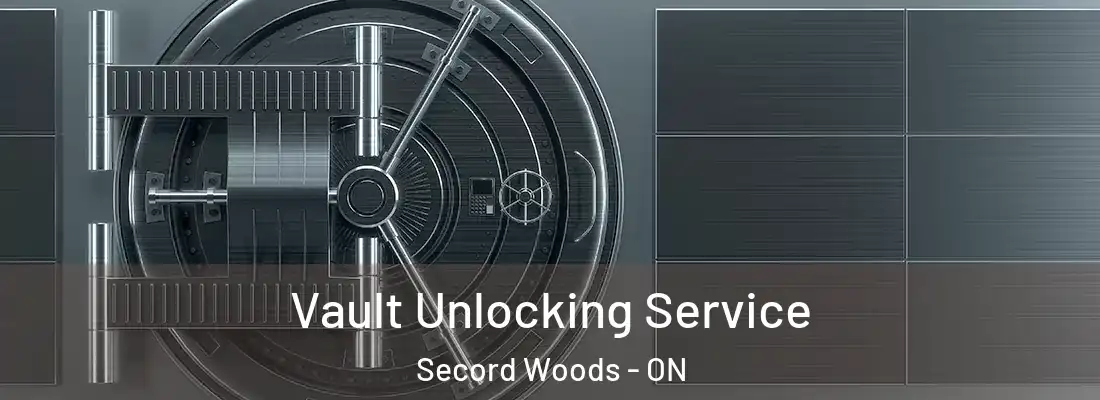  Vault Unlocking Service Secord Woods - ON