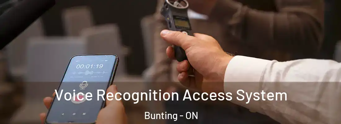  Voice Recognition Access System Bunting - ON