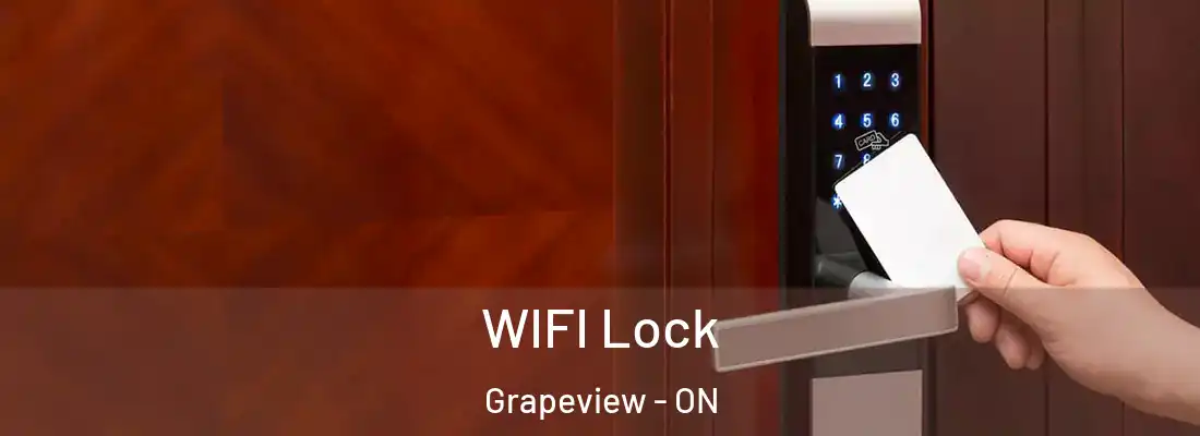  WIFI Lock Grapeview - ON